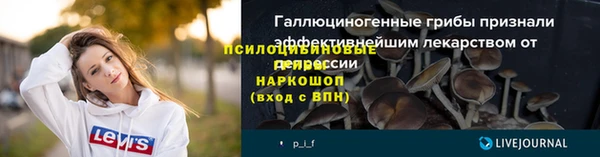 экстази Богданович