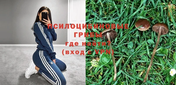 экстази Богданович