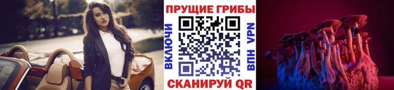 Псилоцибиновые грибы MAGIC MUSHROOMS  Балей 